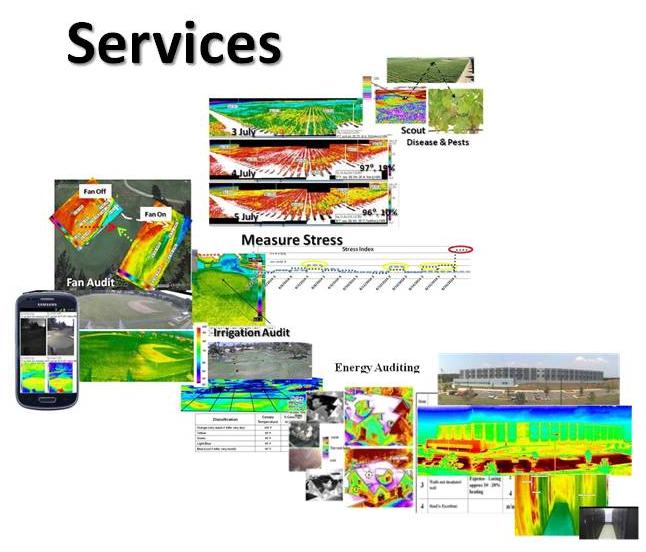 Services with Hawk-Eye